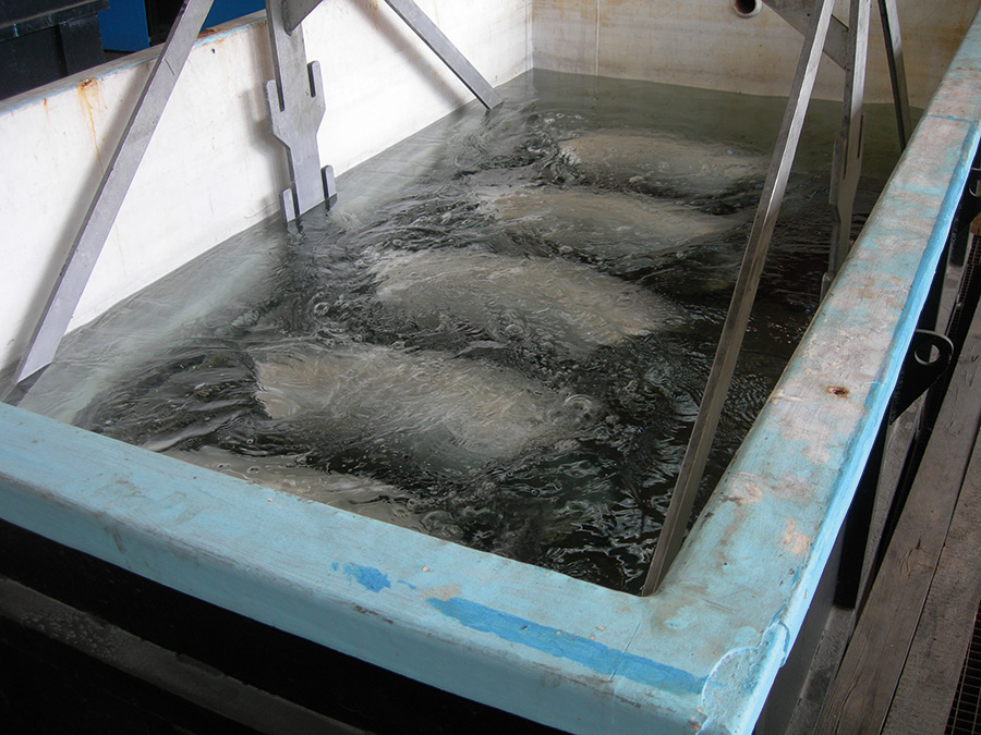 How to Pickle and Passivate Stainless Steel？