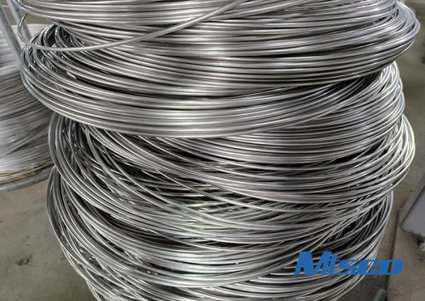 Stainless Steel Spring Wire ASTM A580 304/304L/304M/304H Wire Rods with Annealing treament