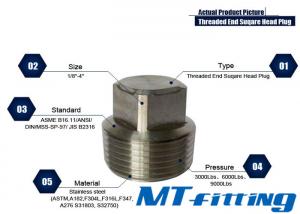 ASTM A105 F304H / 316H Stainless Steel Hex / Square / Round Haed Plug Threaded Forged Fittings