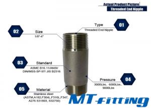2000LBS ASTM A106 F317L Stainless Steel Threaded End Nipple Forged High Pressure Fittings