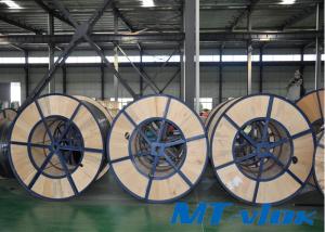 ASTM A213 / ASME SA213 TP304 / 304L Stainless Steel Welded Marine Multi-core Coiled Tube