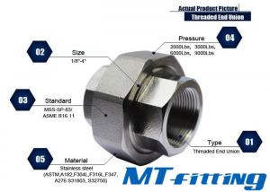 F304 / 304L 1/2 Inch 3000LBS Stainless Steel Union Threaded Forged High Pressure Pipe Fitting
