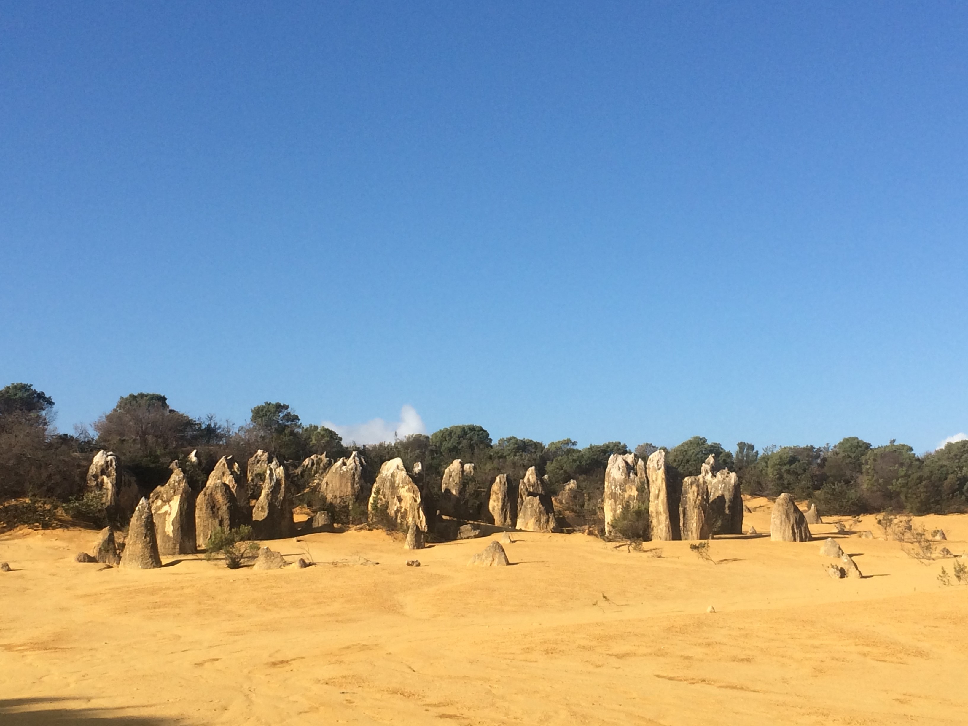 10th Anniversary of MtscoMaxtech