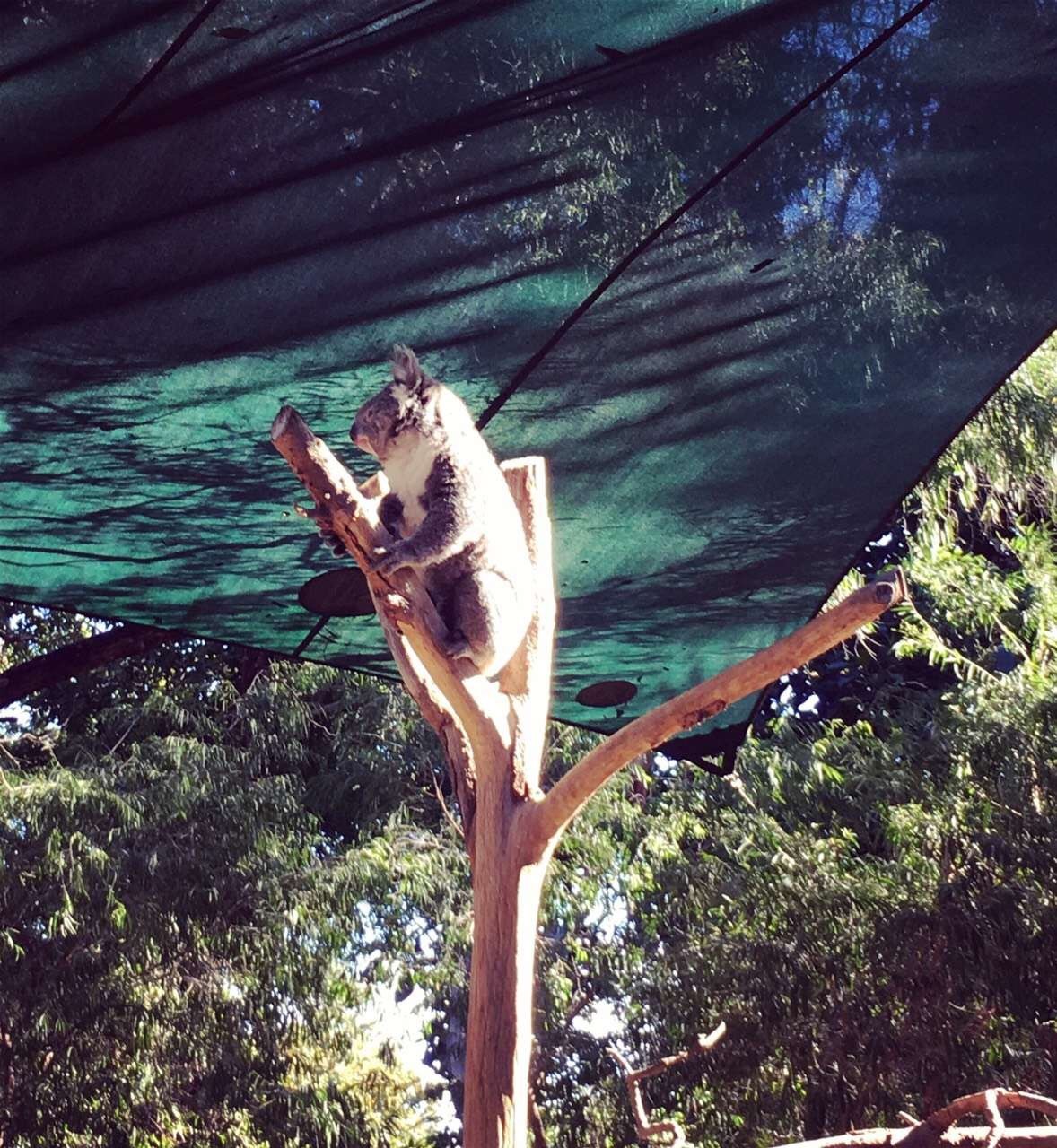 10th Anniversary of MtscoMaxtech