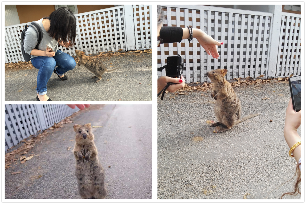 10th Anniversary of MtscoMaxtech