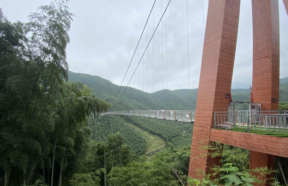 View the bamboo sea, Fight riptide rafting! A wonderful team activity